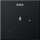 Gira 2288 005 Глухая крышка для вставки док-станции