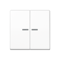 Jung AS 10921 ST RF WW KNX RF кнопка, 2 группы, Цвет: Белый, оттенок: Без оттенка