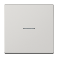 Jung LS 10911 ST RF LG KNX RF кнопка, 1 группа, Цвет: Серый, оттенок: Светлый
