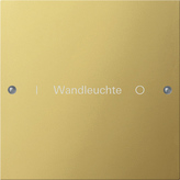 Gira 2131 608 Набор клавиш 1-местный, с возможностью нанесения надписи