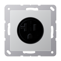 Jung A 521-20 AL Розетка aмериканской системы NEMA