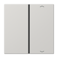 Jung LS 401 TSAP LG Накладка, 1-ная с символами «стрелки»