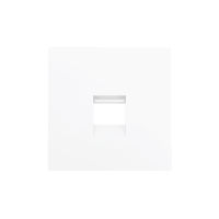 Zennio 830001209 ZS55, Декоративная накладка для разъема RJ45 55x55 мм, 1 вставка, Матовый белый