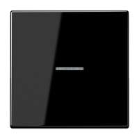 Jung LS 101 KO5 SW Клавиша с окошком