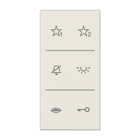 Jung SI A6 LS DC W Накладка с символами аудио