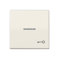 Jung AS 591 KO5T Kлавиша с символом «ключ» и окошком