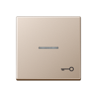 Jung A 590 KO5 T CH Kлавиша с символом «ключ» и окошком