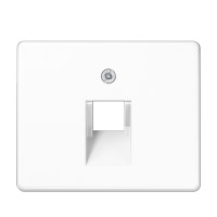 Jung SL 569-1 UA WW Kрышка