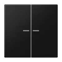 Jung LS 995 KO5 SWM Kлавиша с окошком, Дюропласт лакированный, Серия LS, матовый чёрный графит
