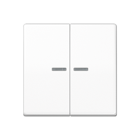 Jung AS 591-5 KO5BF WW Клавиша с окошком