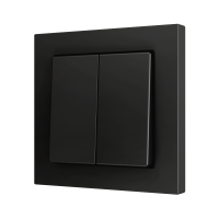 Zennio ZS552PB2A ZS55, Двойная мягкая кнопка для 2 бинарных входов 55x55 мм – Антрацит