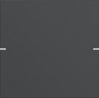 Gira 5021928 Набор клавиш одинарн. для сенсорного выключателя 4