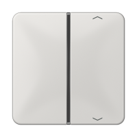 Jung CD 401 TSAP LG Накладка, 1-ная с символами «стрелки»