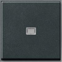 Gira 0290 67 Клавиша с контрольным окошком