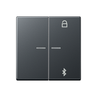 Jung A 1751 BFBT ANM Таймер универсальный Bluetooth