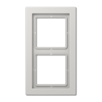 Jung LSD 982 LG Рамка