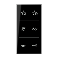 Jung SI A6 LS DC SW Накладка с символами аудио