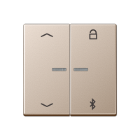 Jung A 1751 PBT CH Таймер универсальный Bluetooth «стрелки»