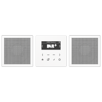 Jung DAB LS2 WW Смарт радио DAB+, стерео