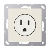 Jung A 521-15 Розетка aмериканской системы NEMA