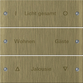 Gira 2133 607 Набор клавиш 3-местн., с возможностью нанесения надписи