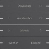 Gira 5034928 Набор клавиш четверн., индивидуально для сенсорного выключателя 4