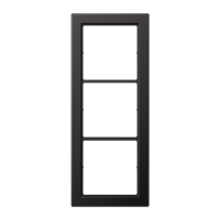 Jung FDAL 2983 D Рамка