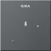 Gira 2288 28 Глухая крышка для вставки док-станции