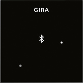 Gira 2288 05 Глухая крышка для вставки док-станции