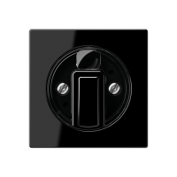 Jung A 1541 SW Kрышка