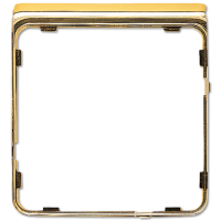 Jung CDP 82 GGO Внешняя цветная рамка