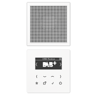 Jung DAB LS1 WW Смарт радио DAB+, моно