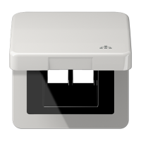 Jung CD 590 KL LAN LG Откидная крышка