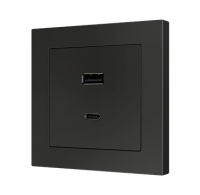 Zennio ZS55C2UCAA USB-розетка, разъемы USB C и USB A