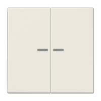 Jung LS 10921 ST RF KNX RF кнопка, 2 группы, Цвет: Бежевый, оттенок: Слоновая кость