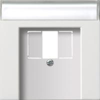 Gira 0876112 Накладка для TAE и USBС полем для надписи