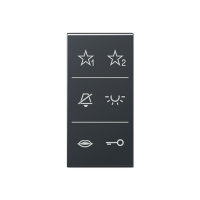 Jung SI A6 A DC ANM Накладка с символами аудио