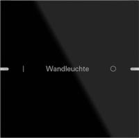 Gira 503105 Набор клавиш одинарн., индивидуально для сенсорного выключателя 4