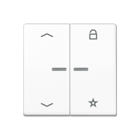 Jung AS 1701 P WW Центральная плата универсальная «стрелки»