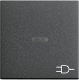 Gira 020928 Клавиша с контрольным окошком и символомРозетка