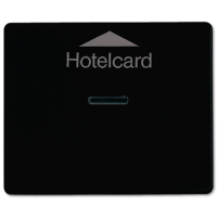 Jung SL 590 CARD SW Накладка карточного выключателя (без механизма)