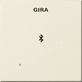 Gira 2288 01 Глухая крышка для вставки док-станции