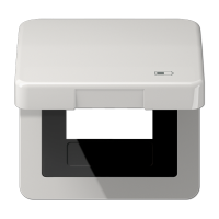 Jung CD 590 KL USB LG Откидная крышка