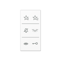 Jung SI A6 A DC WW Накладка с символами аудио