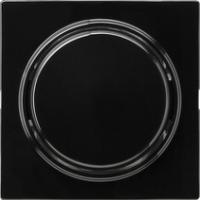 Gira 012747 Кнопочный выключатель с фиксированным положением включения 10 AX 250 В~ с накладкой и клавишейПерекрестный выключатель