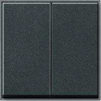 Gira 0295 67 Клавиша 2-местн.