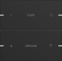 Gira 5032905 Набор клавиш двойн., индивидуально для сенсорного выключателя 4