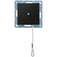 Jung A 506 BF NUZ SWM Выключатель со шнурком (универсальный) 10 A / 250 B ~