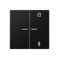 Jung A 1751 BFBT SWM Таймер универсальный Bluetooth