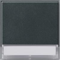 Gira 0676 67 Клавиша с полем для надписи